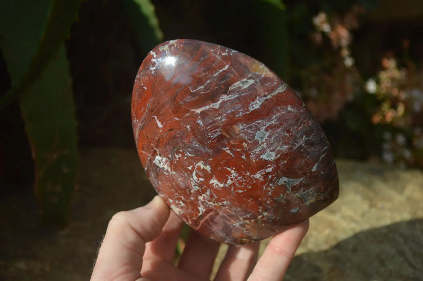 Polished Red Jasper Standing Free Forms  x 3 From Southern Africa