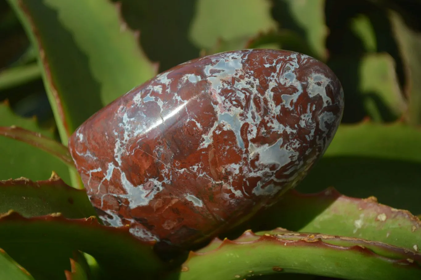 Polished Red Jasper Standing Free Forms  x 3 From Southern Africa