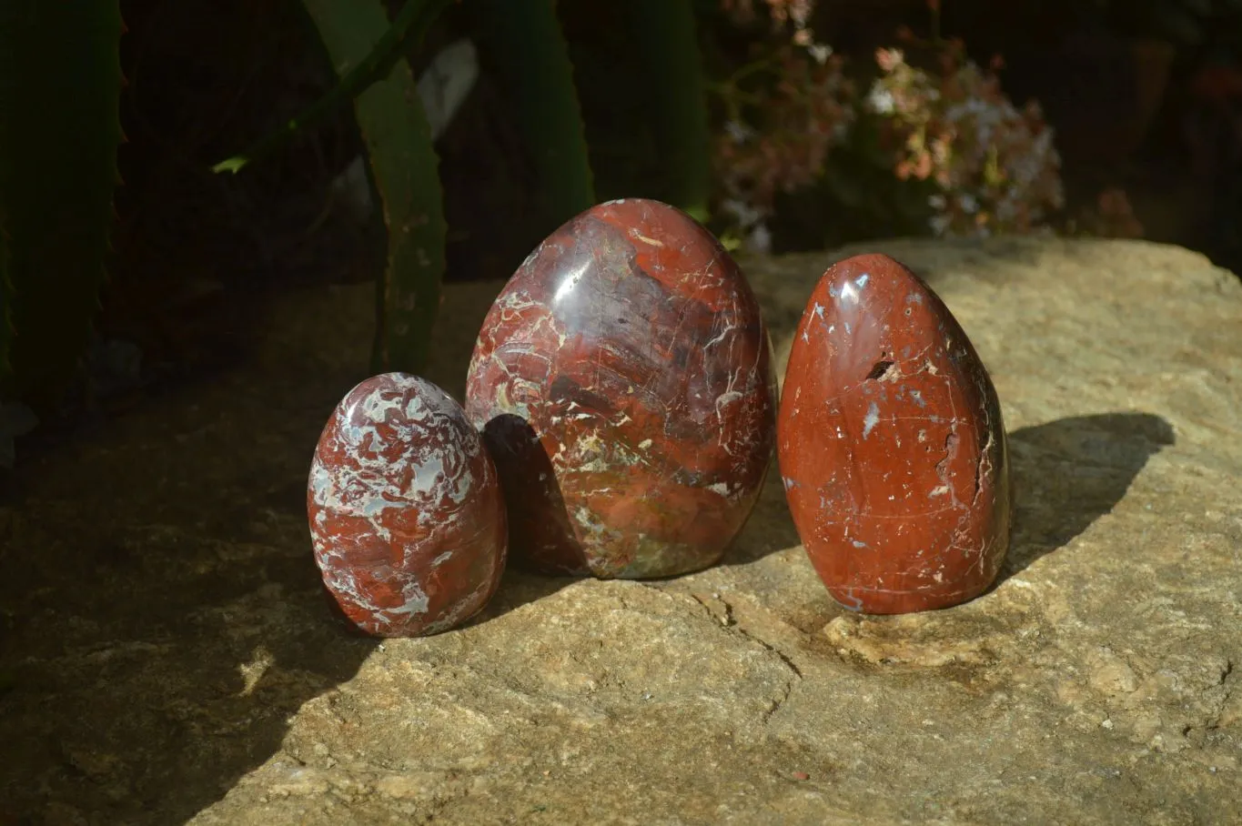 Polished Red Jasper Standing Free Forms  x 3 From Southern Africa