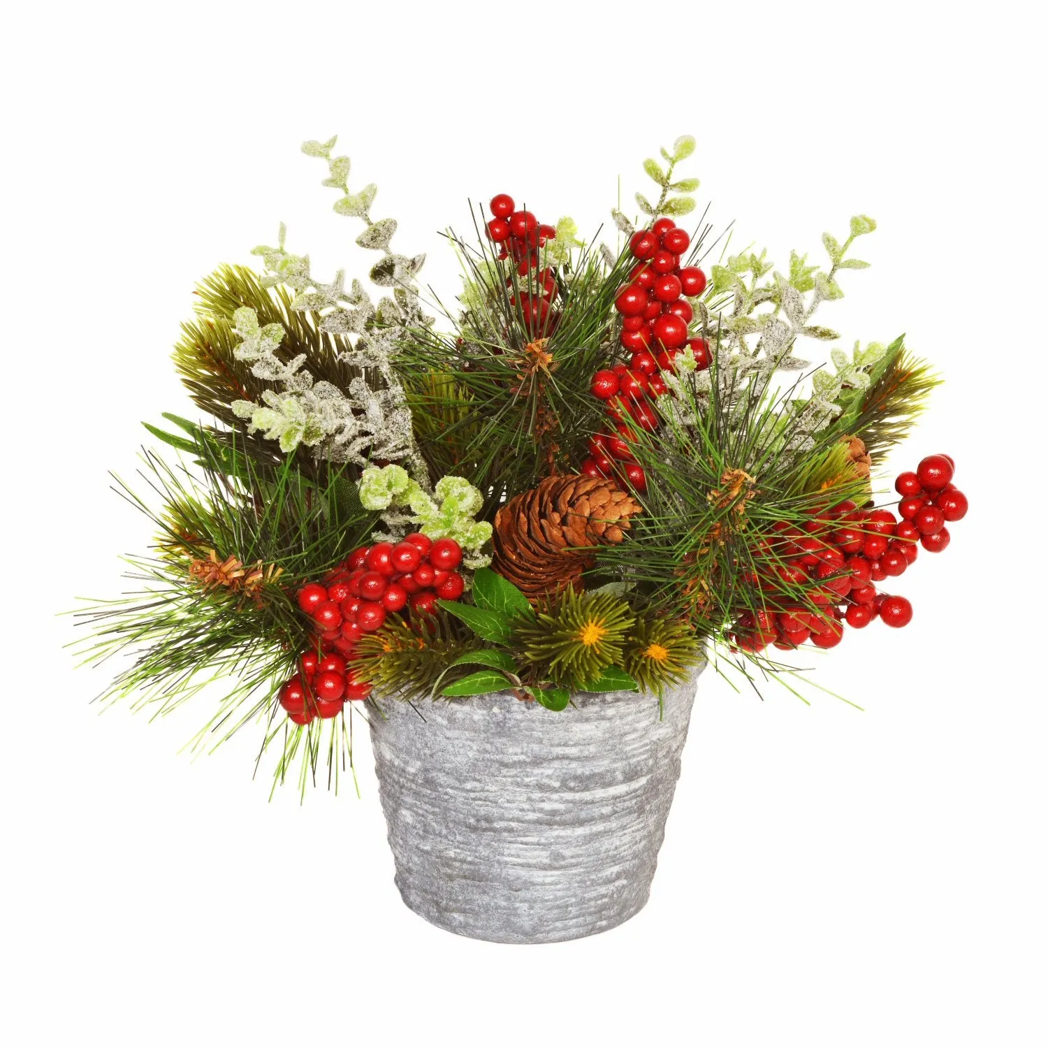 Sincere Floral 25cm Christmas Foliage in Pot